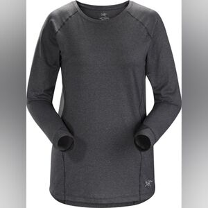 Arc'teryx Gray Boxy Long Sleeve Sweatshirt